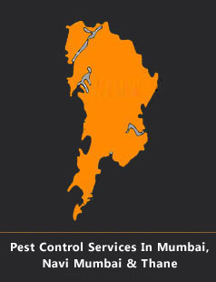 mumbai pest control